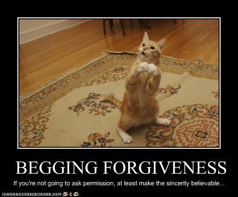 BEGGING FORGIVENESS - Cheezburger - Funny Memes | Funny ...