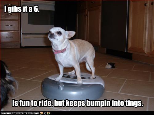 I Has A Hotdog - vacuum - Funny Dog Pictures | Dog Memes | Puppy ...