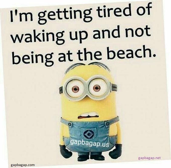 18 Times Minions Knew Exactly How We Felt - I Can Has Cheezburger?