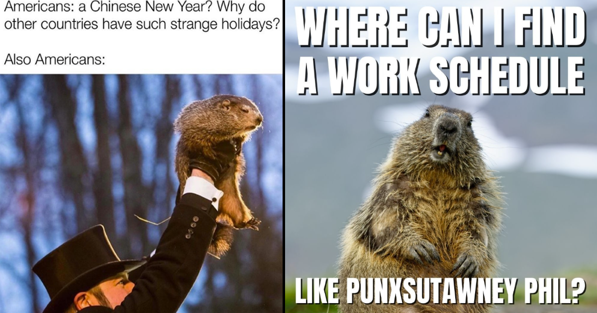 Memebase groundhog day All Your Memes In Our Base Funny Memes