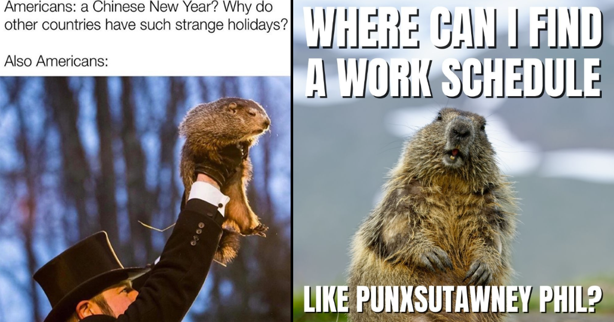 Punxsutawney Phil Groundhog Day 2025 Meme