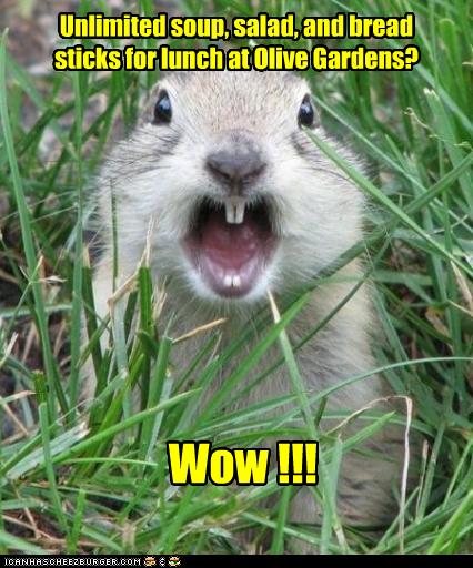 Unlimited Soup Salad And Bread Sticks For Lunch At Olive Gardens