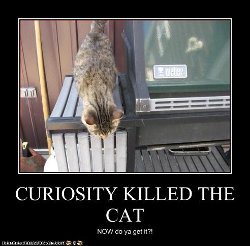 millionaire dating sites free