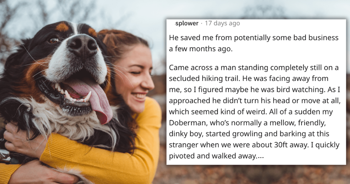 25 Heartwarming Testimonials Of Tail-wagging Triumphs From Pawsitively 