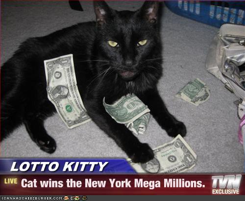 mega cat lotto