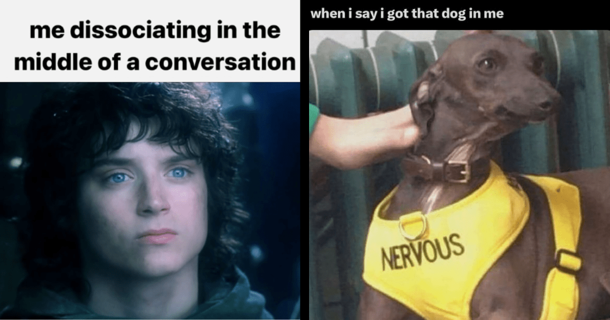 31 Introvert Memes for Grateful Loners Happy to Stay in Their Lane ...