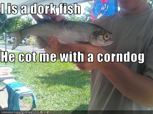 I is a dork fish He cot me with a corndog - Cheezburger ...