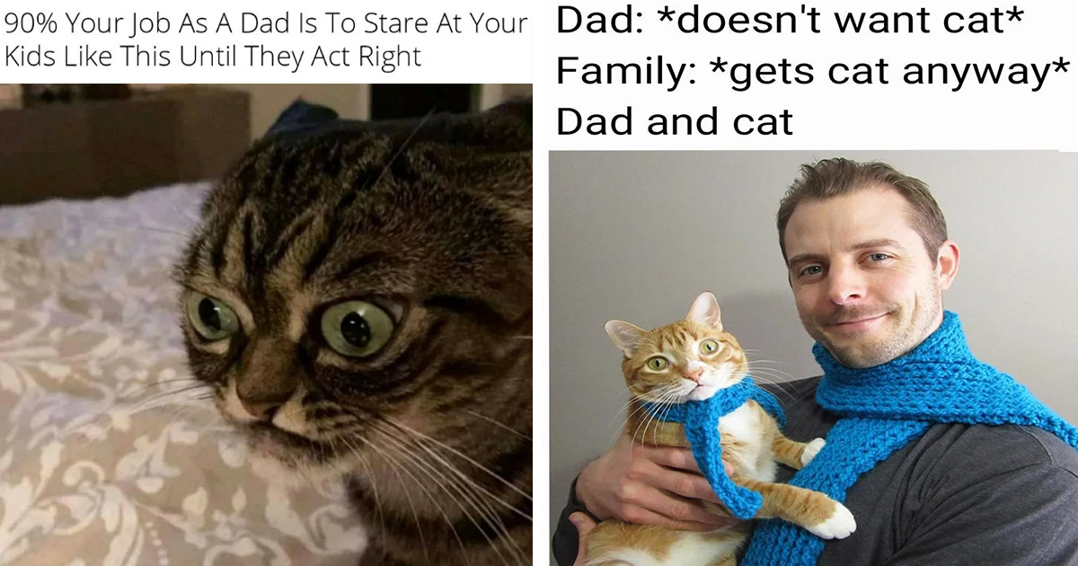 Funny Cat Memes Sent In Our Family Group Chat To Make Fun Of Our Dad