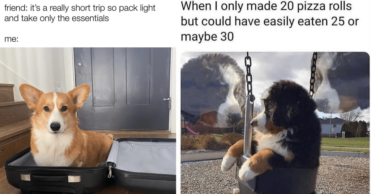 Happy Dog Memes