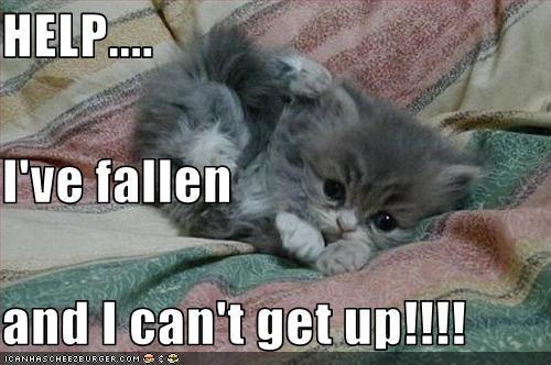 HELP.... I've fallen and I can't get up!!!! - Cheezburger ...