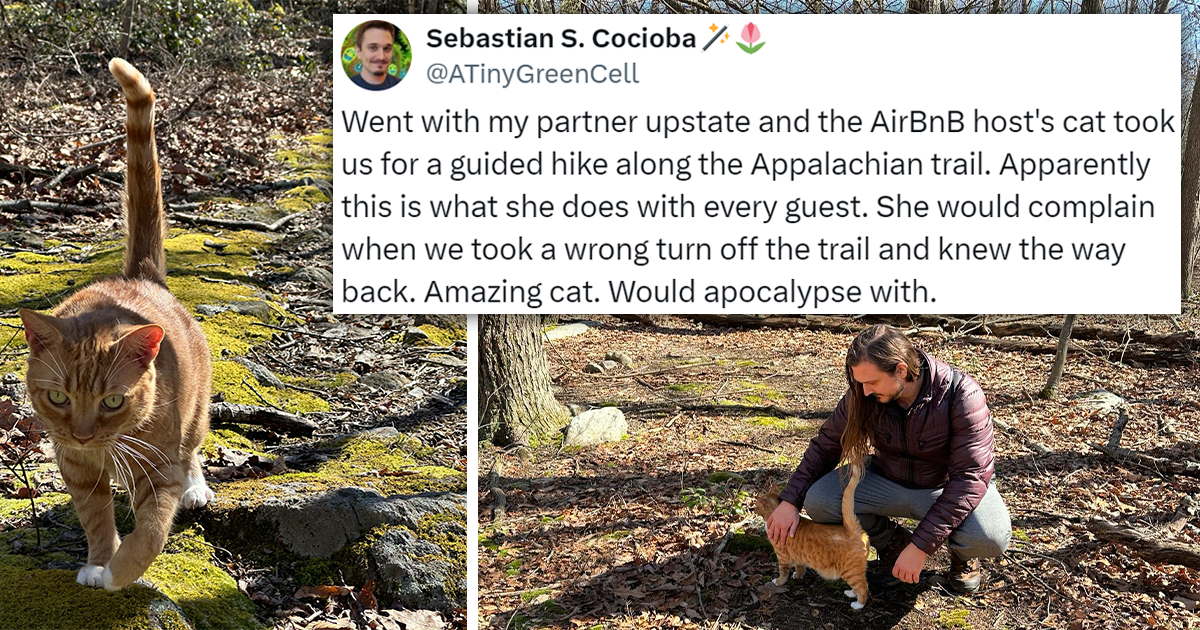 Cat Guides Couple Along The Appalachian Trail, Complaining And Judging Them Every Time They Go