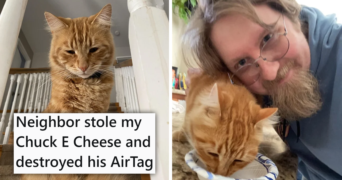 Crazy Neighbor Steals Man's Cat Then Throws The Cat Out, Luckily A
Different Neighbor Saves The Day
