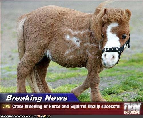 free speed dating near me