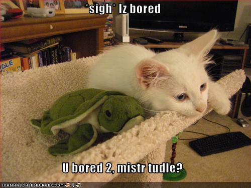 *sigh* Iz bored U bored 2, mistr tudle? - Cheezburger - Funny Memes ...