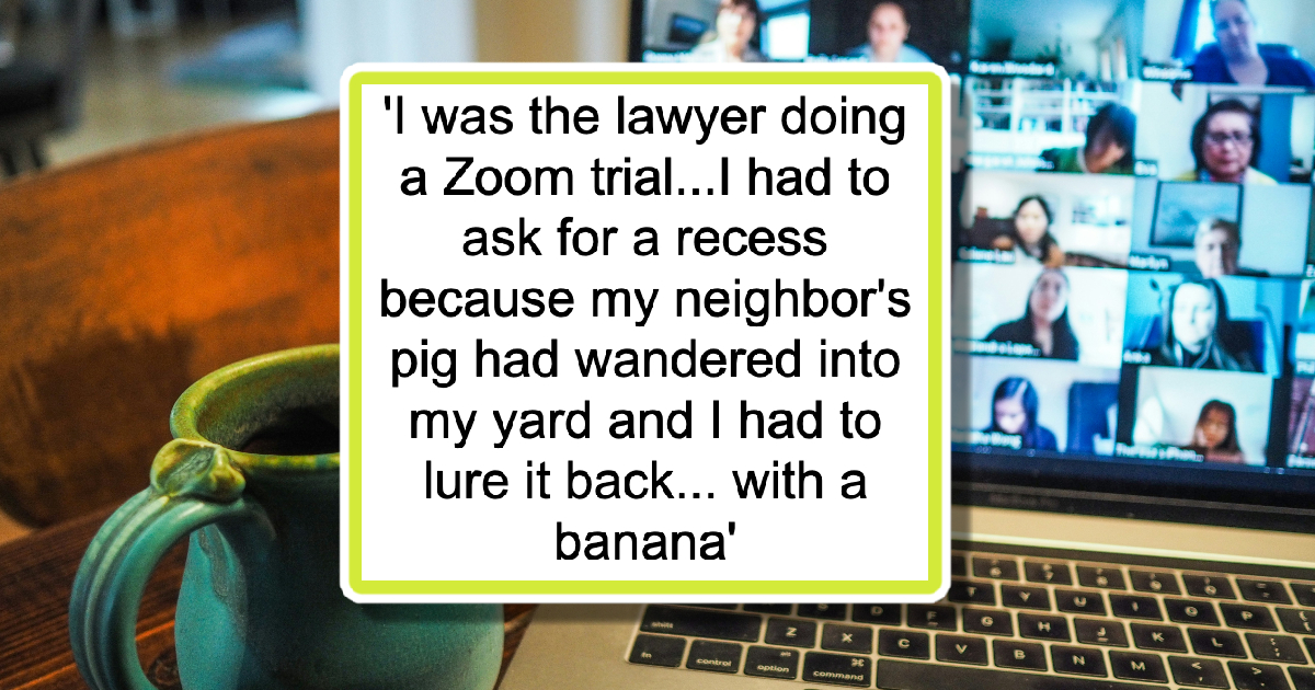 'There is a guy in Zoom court literally going through the car wash' 20+ Zoom court mishaps