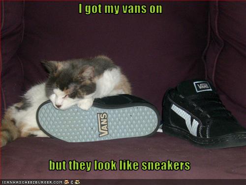 vans on look like sneakers