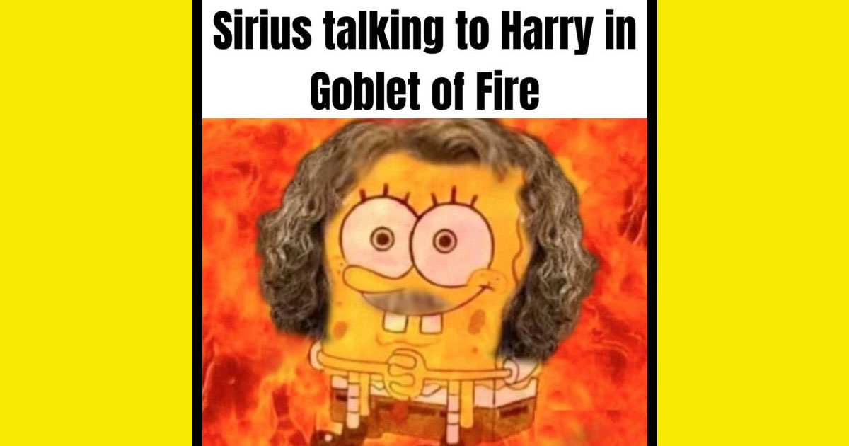 'Jingle Bells, Dudley smells, Umbridge go away' 30+ of the Best Harry Potter Memes of the Week