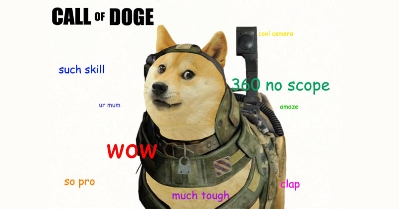 Happy 12th Memeversary, Doge! - Memebase - Funny Memes