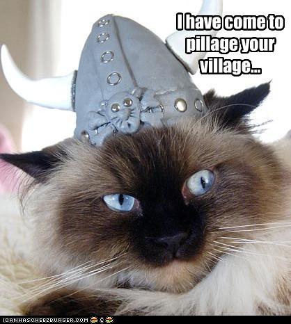 I Have Come To Pillage Your Village Cheezburger Funny Memes Funny Pictures