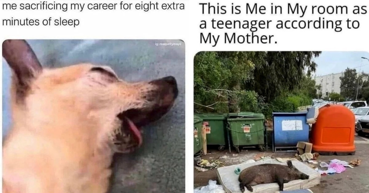 19 Sarcastic And Howlarious Animal Memes To Inject You With A Double 