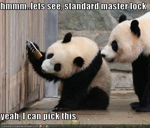 hmmm..lets see, standard master lock yeah, I can pick this