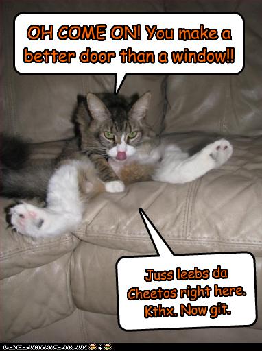 Oh Come On You Make A Better Door Than A Window Cheezburger