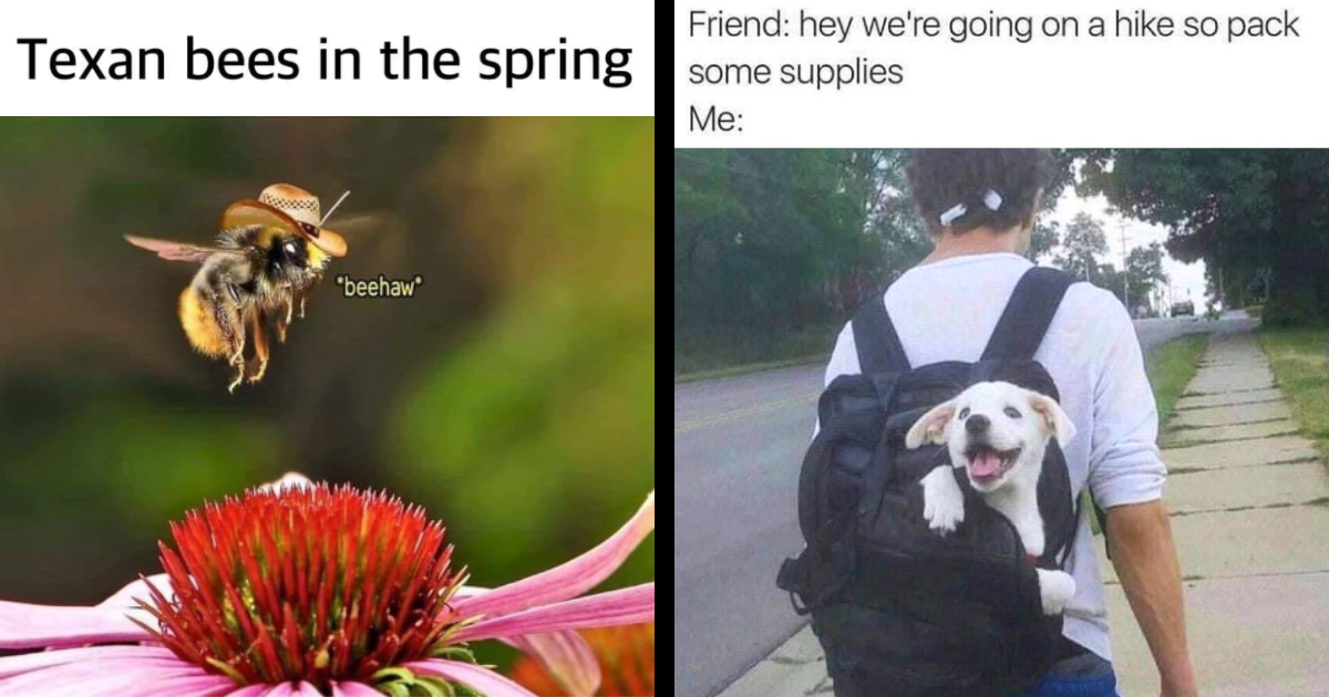 A Spring Mix of 29 Memes to Keep Your Spry in the Sunshine - Memebase ...