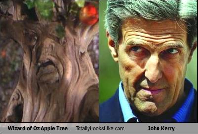 Wizard of Oz Apple Tree Totally Looks Like John Kerry ...
