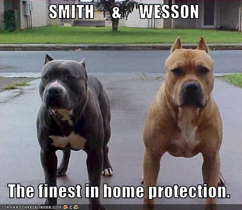 SMITH & WESSON The finest in home protection. - Cheezburger - Funny Memes |  Funny Pictures