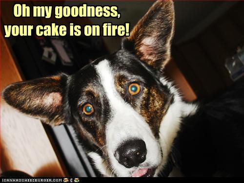 grouper dating app android