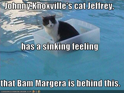 Johnny Knoxville S Cat Jeffrey Has A Sinking Feeling That