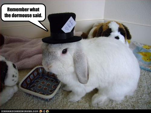 Remember What The Dormouse Said Cheezburger Funny Memes
