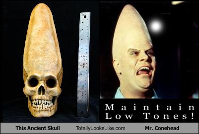 This Ancient Skull Totally Looks Like Mr  Conehead 