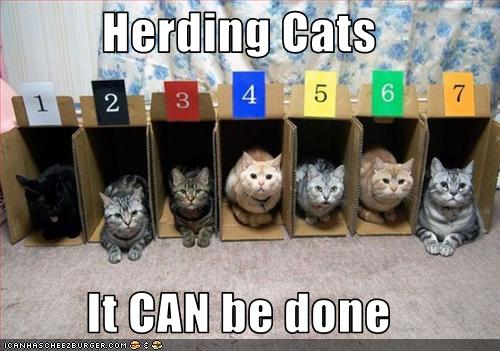 Herding Cats It CAN be done - Cheezburger - Funny Memes 