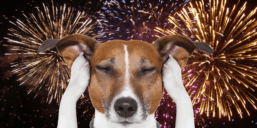 will fireworks hurt my dogs ears
