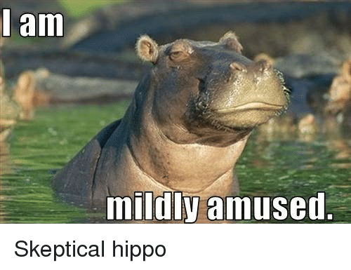 Time For Some Hippos! 15 Funny memes to make your Sunday better