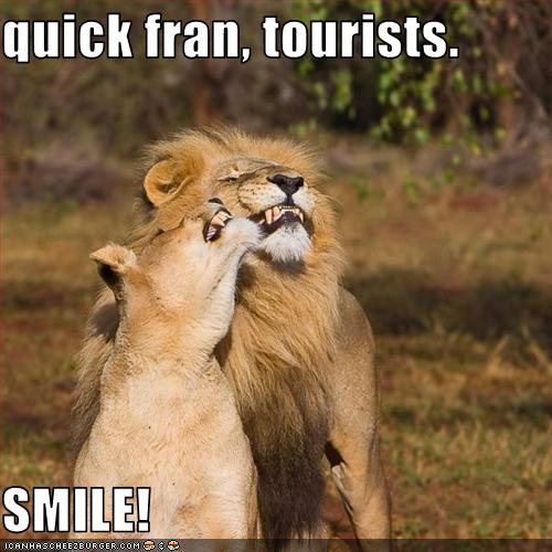 quick fran, tourists. SMILE! - Cheezburger - Funny Memes | Funny Pictures