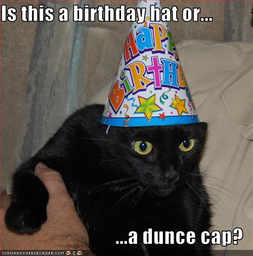 Is This A Birthday Hat Or A Dunce Cap? - Cheezburger - Funny 