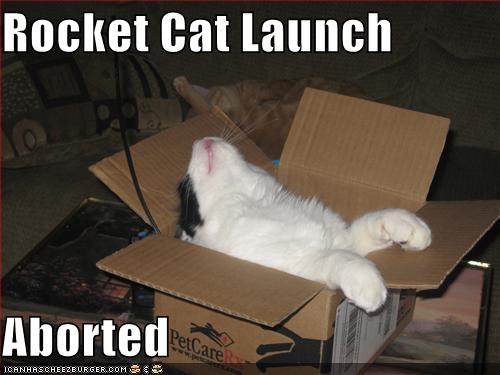 Rocket Cat Launch Aborted - Cheezburger - Funny Memes ...