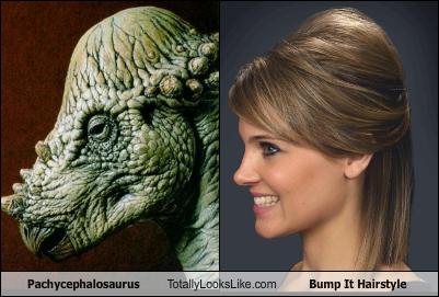 Pachycephalosaurus Totally Looks Like Bump It Hairstyle 