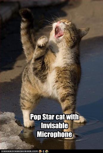 Pop Star cat with Invisable Microphone - Cheezburger - Funny Memes  Funny Pictures