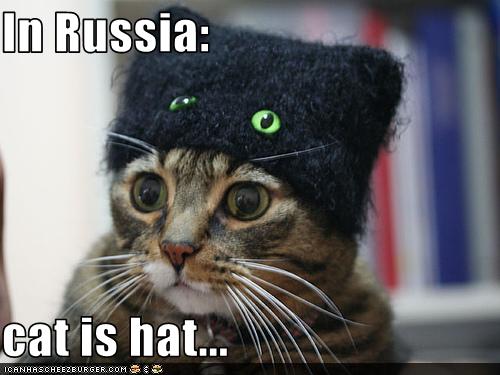 In Russia Cat Is Hat Cheezburger Funny Memes Funny Pictures