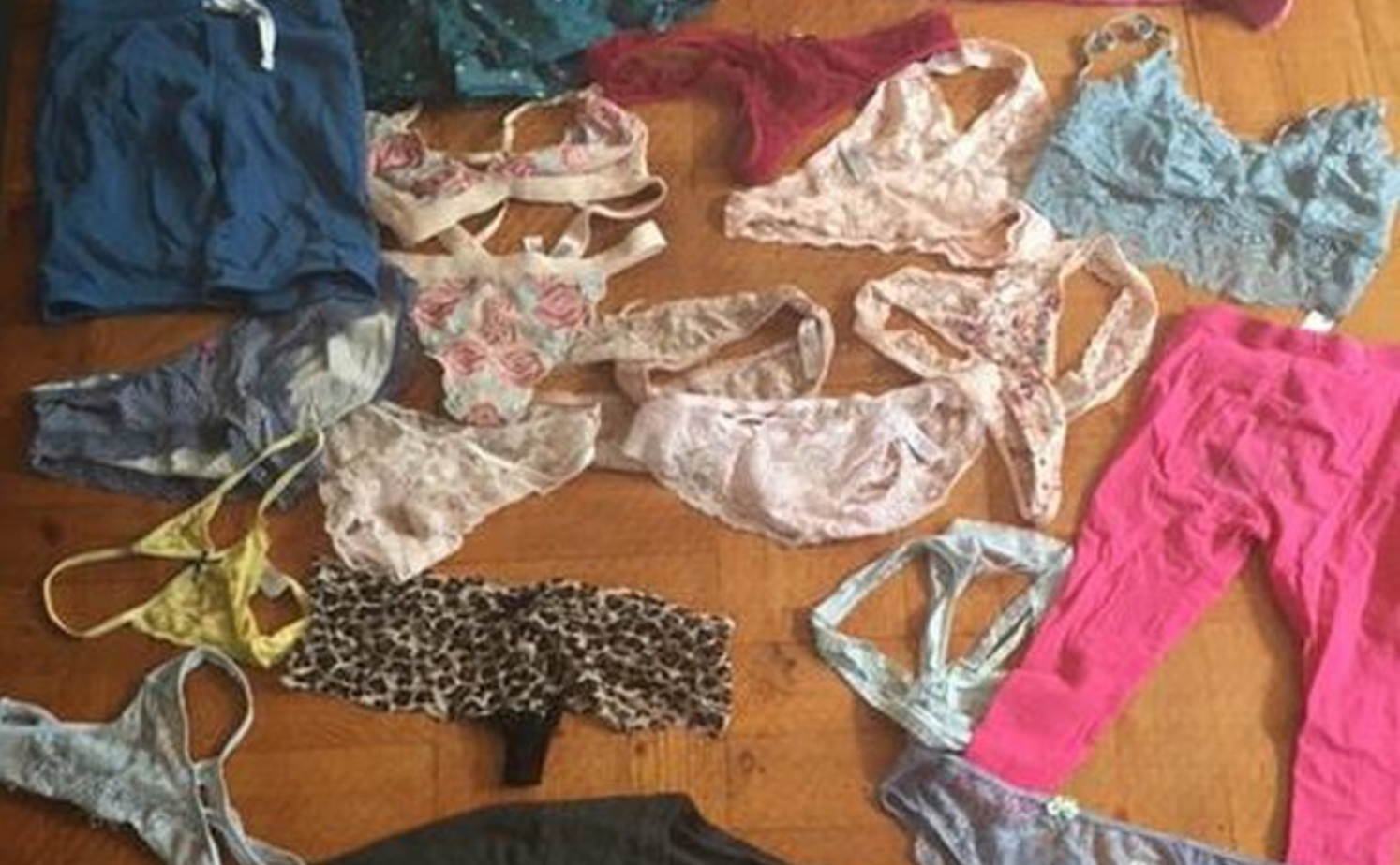 Actual cat burglar gets caught stealing dozens of men's underwear