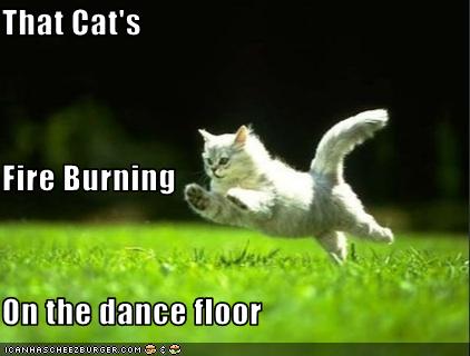 That Cat S Fire Burning On The Dance Floor Cheezburger Funny