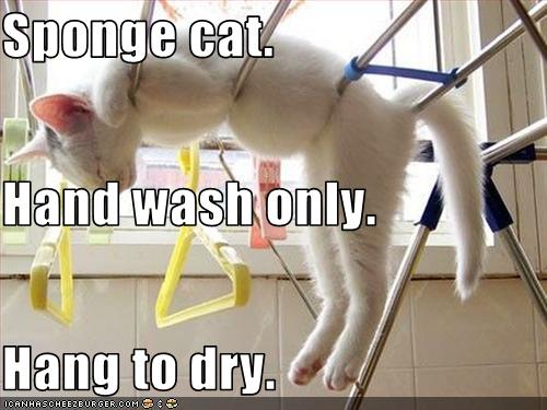 sponge wash only