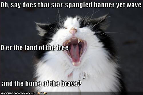 Oh Say Does That Star Spangled Banner Yet Wave O Er The Land Of