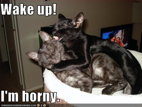 anime dating sims download