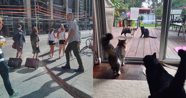 48 fotos que demuestran que vivimos en la Matrix y que hay fallos en ...