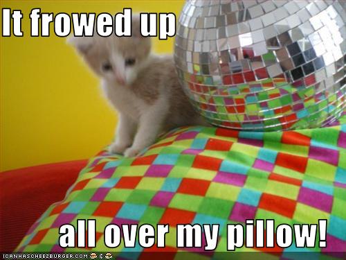 I Frowed Up Kitten Meme