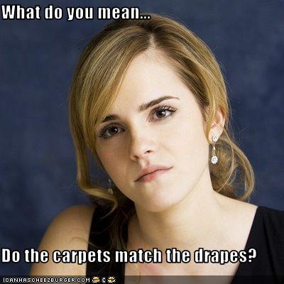 What Do You Mean Do The Carpets Match The Drapes Cheezburger